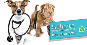 Ofertas Veterinario campa�a de cirugia