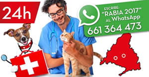 Ofertas Veterinario Cerca de Mi vacuna de la rabia